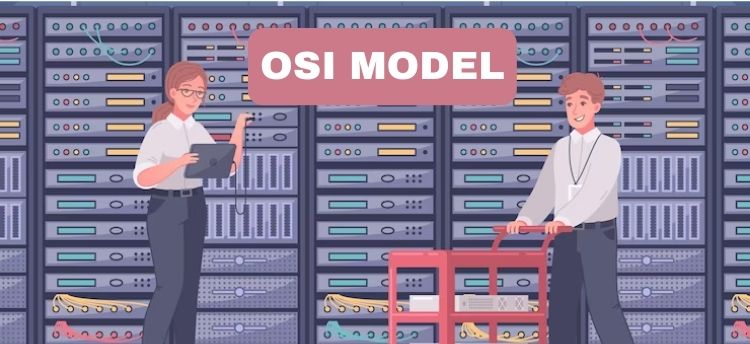presentation layer functions in osi model
